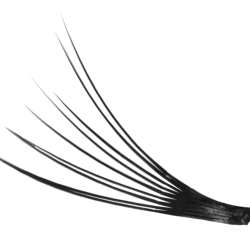 eyelashes-2